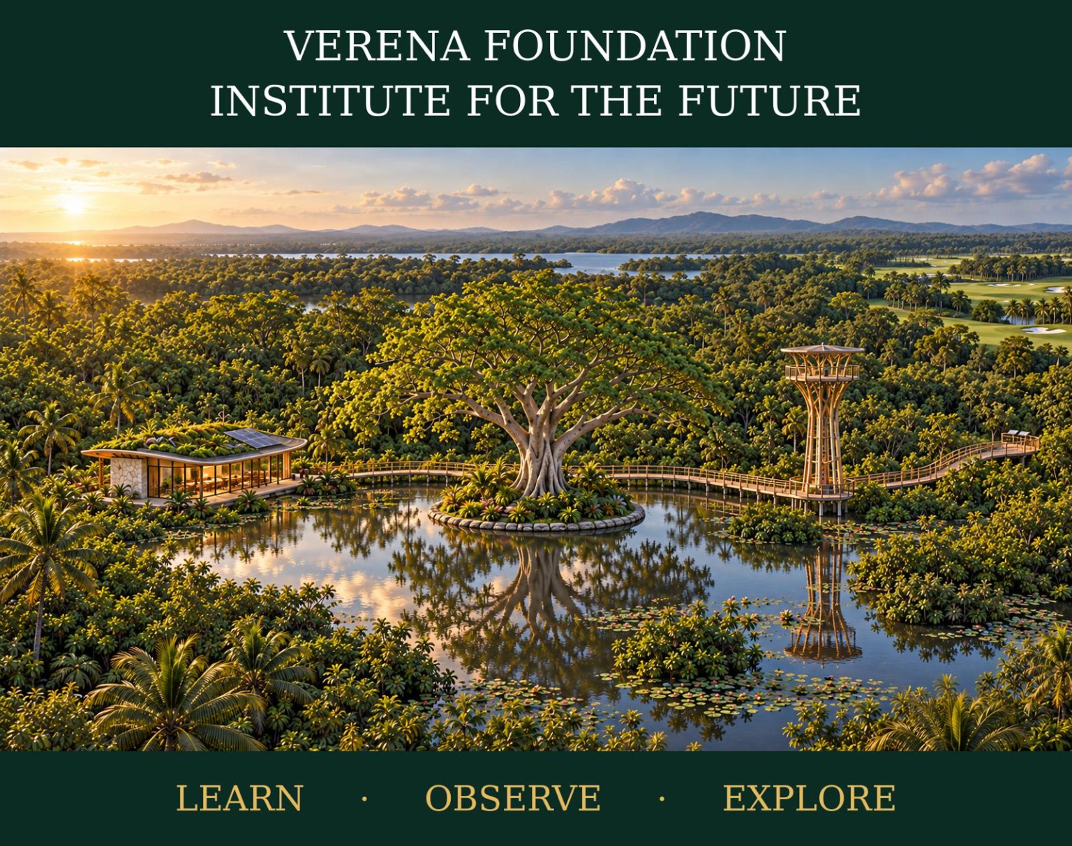 Verena Foundation Institute for the Future — Learn, Observe, Explore
